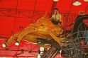 Le Manege Carre Senart concu par Francois Delaroziere 068